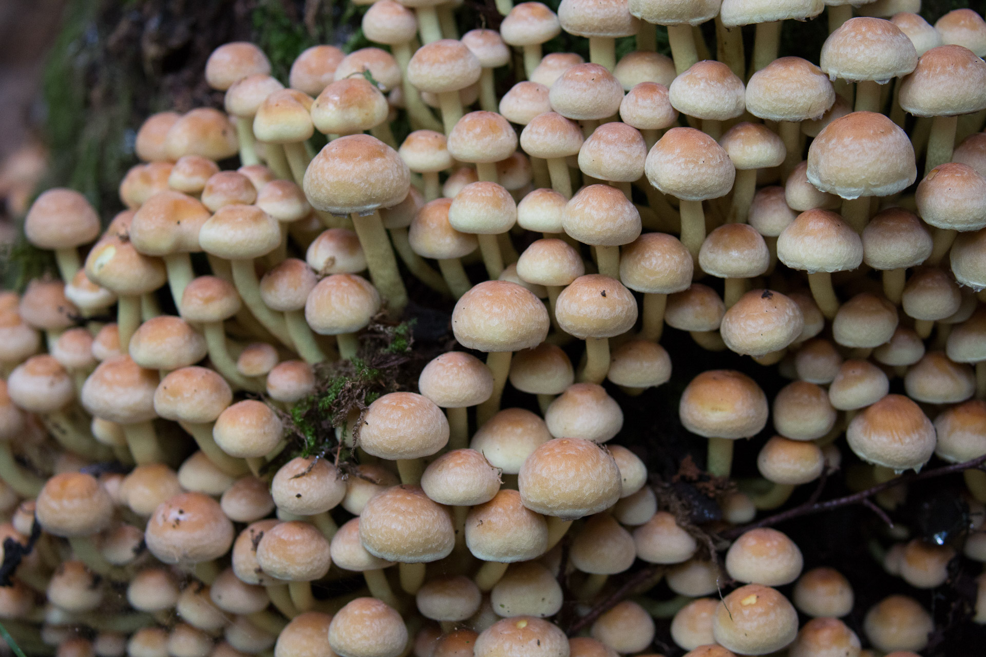 20231014100726 3K6A2135